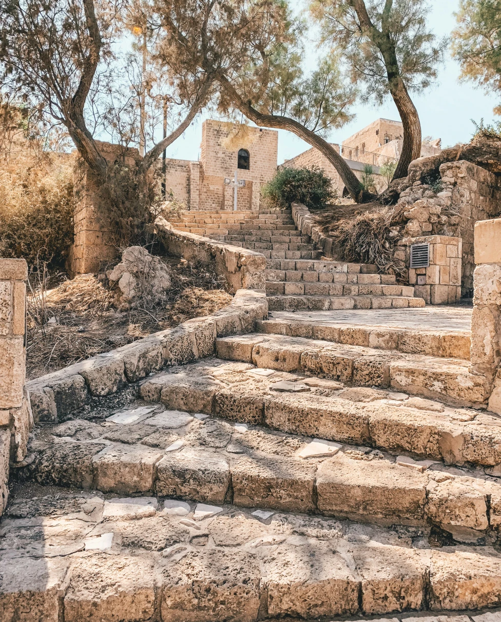 Advisor - A Trip To The Holy Land