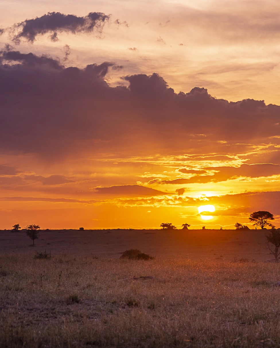 Advisor - Your Unforgettable Honeymoon Safari in Tanzania