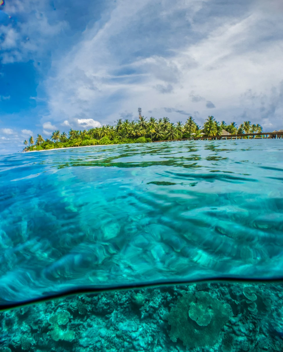 Advisor - The Best of Fiji