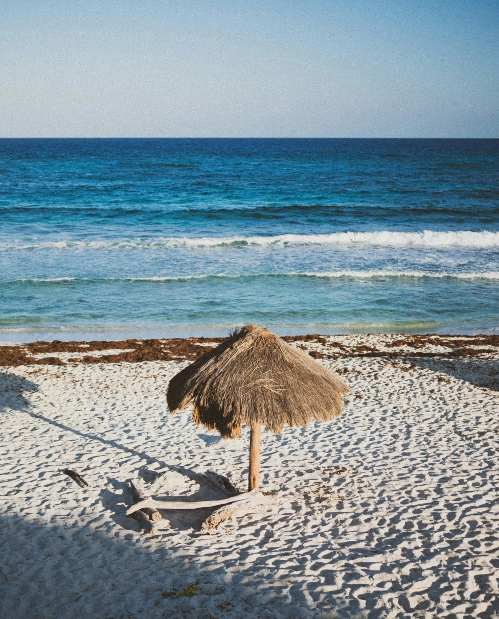 Advisor - Discover Cozumel: A Curated Escape to Paradise