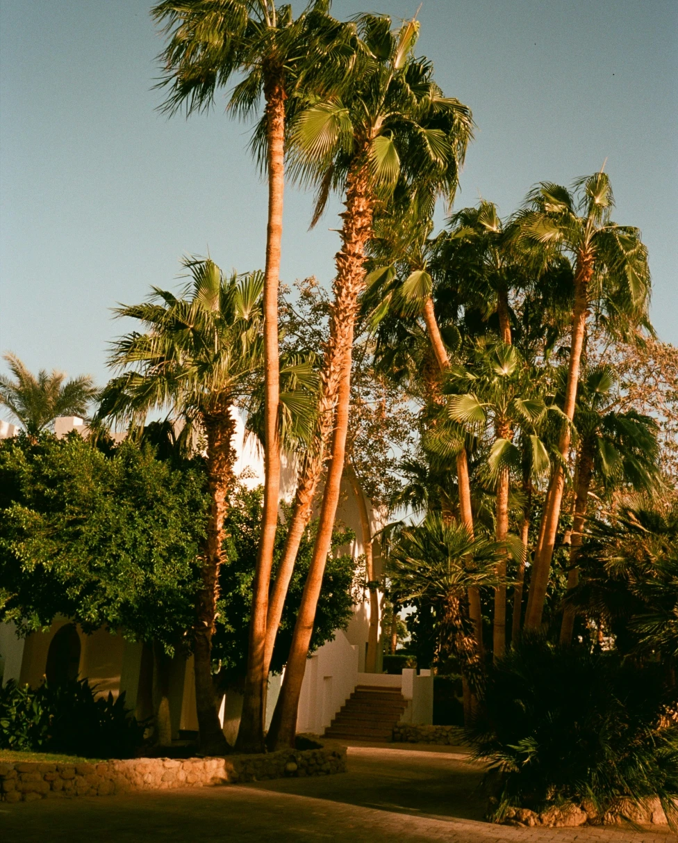 Advisor - A Desert Escape: Palm Springs, Desert Hot Springs and Joshua Tree