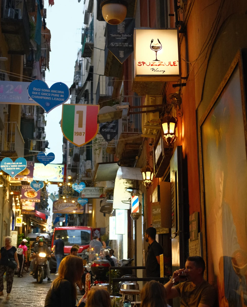 Advisor - Naples, Italy for the Natural Wine Lover: A Wine-Focused Guide to the City