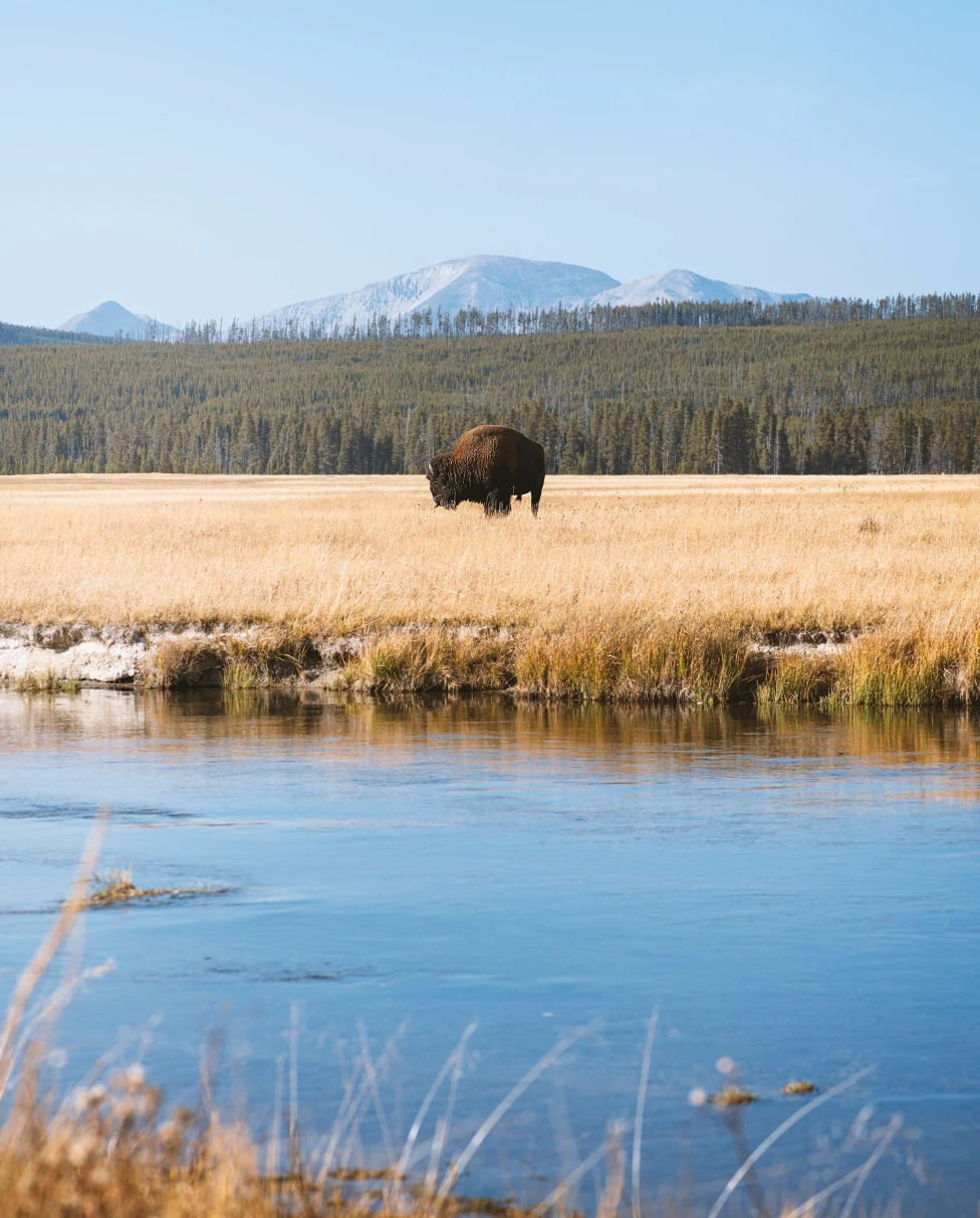 Advisor - Ultimate Yellowstone Adventure: 3-Day Itinerary in Yellowstone National Park