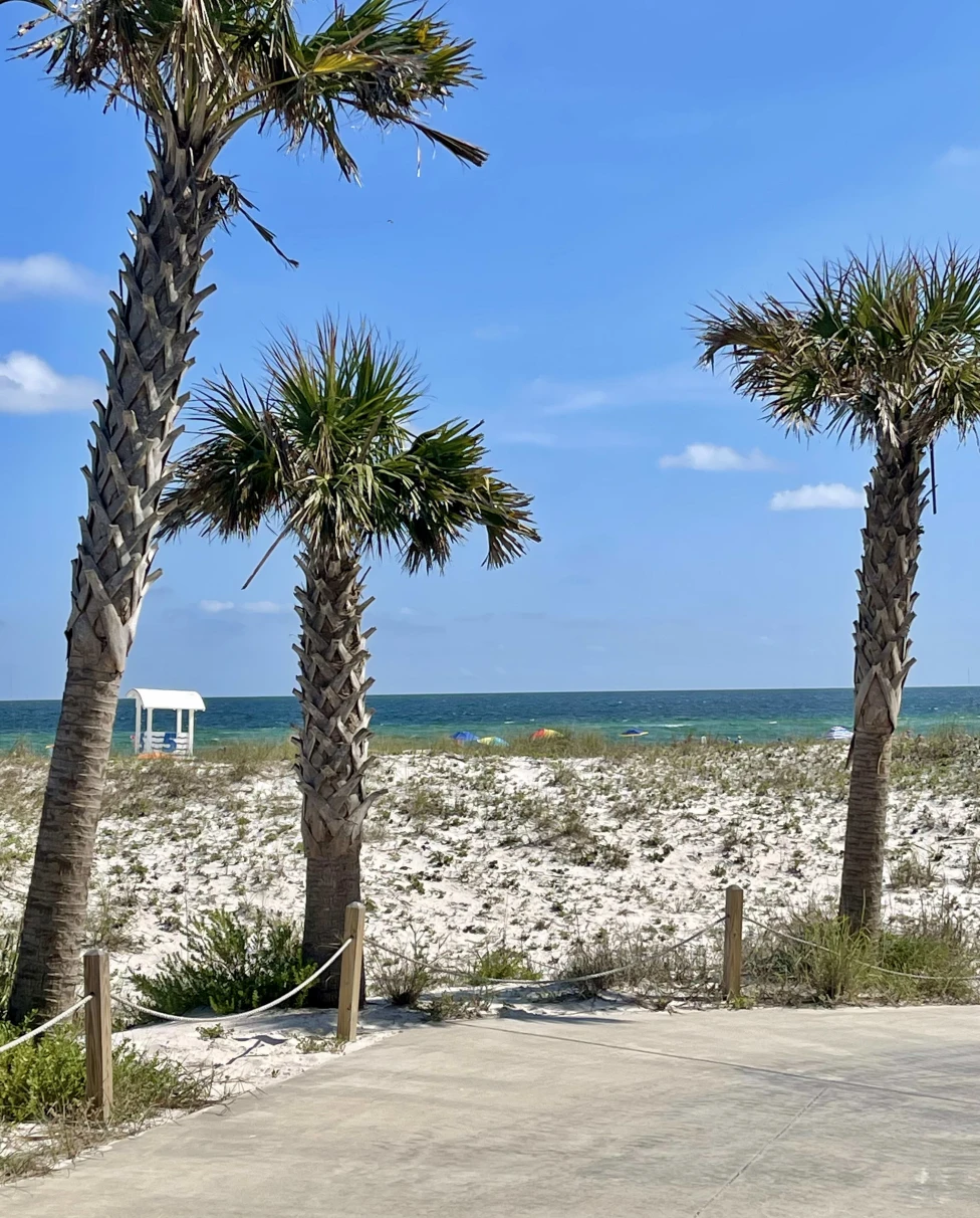 Advisor - The Ultimate Guide to Alabama's Gulf Coast