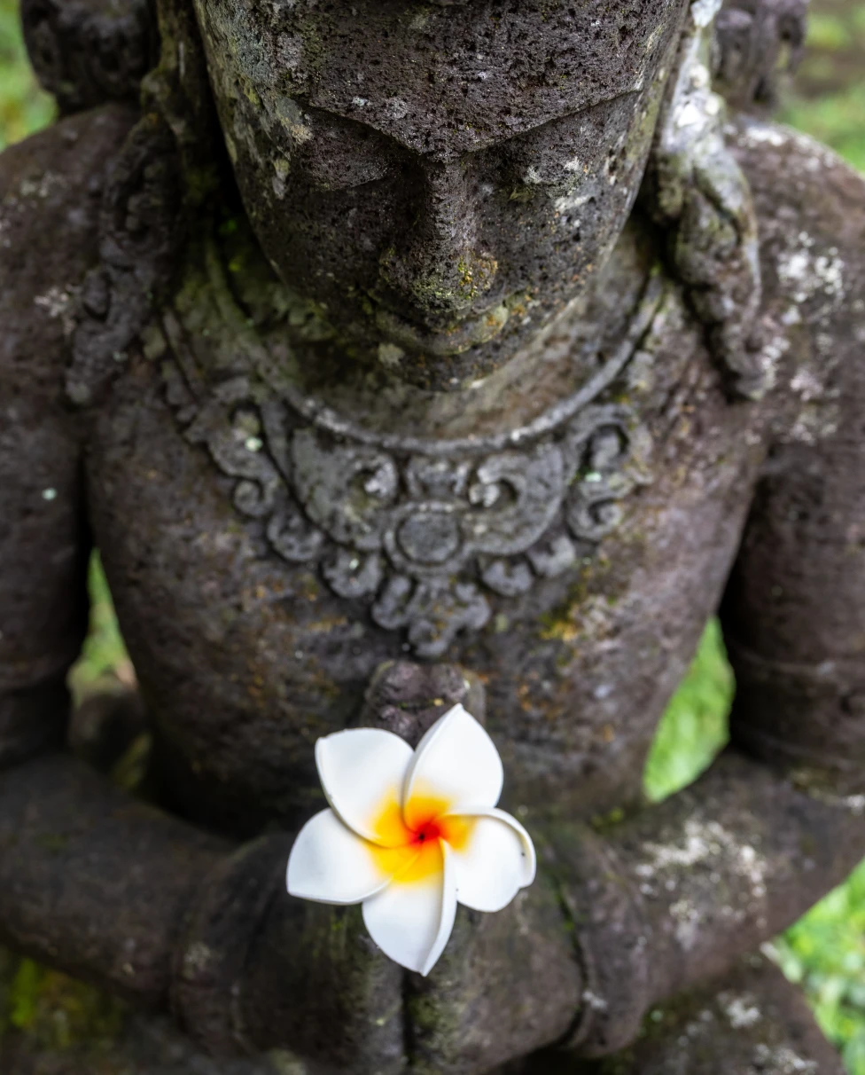 Advisor - Java to Bali: Temples, Traditions & Island Time in Indonesia