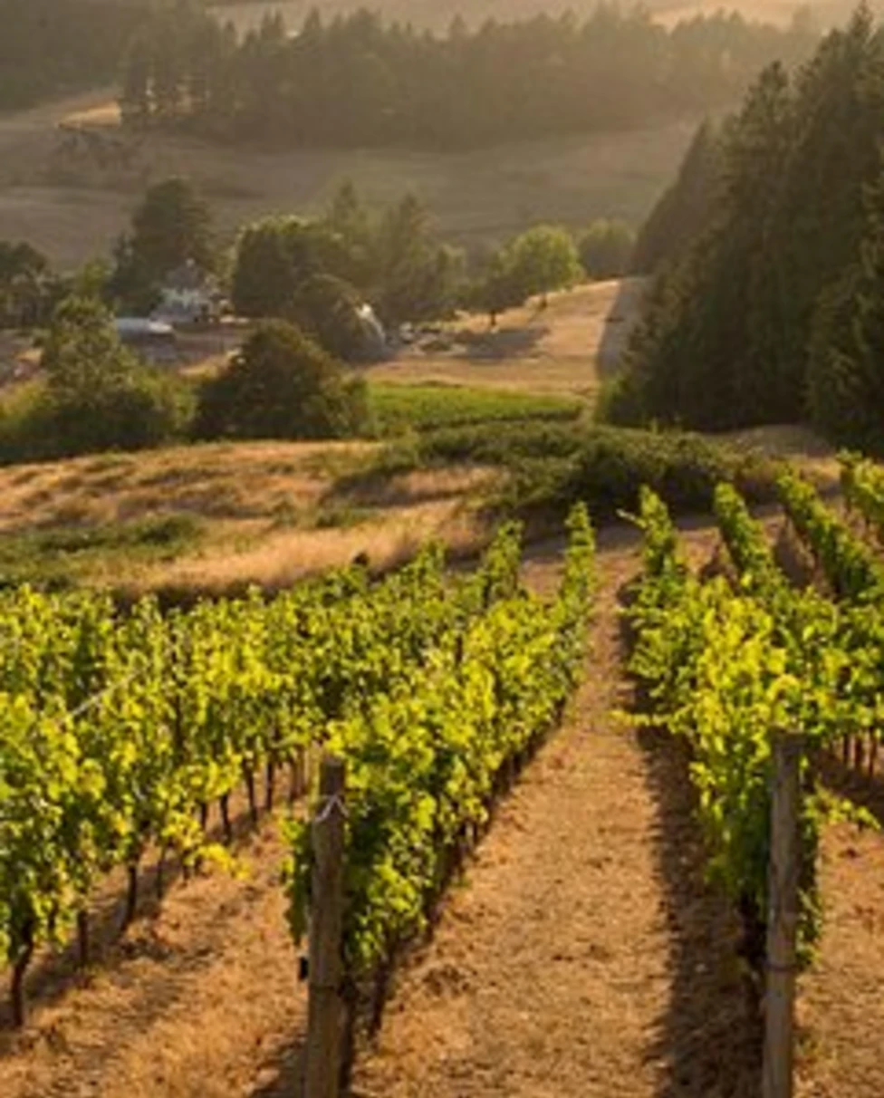 Advisor - 3 Days in Oregon Wine Country