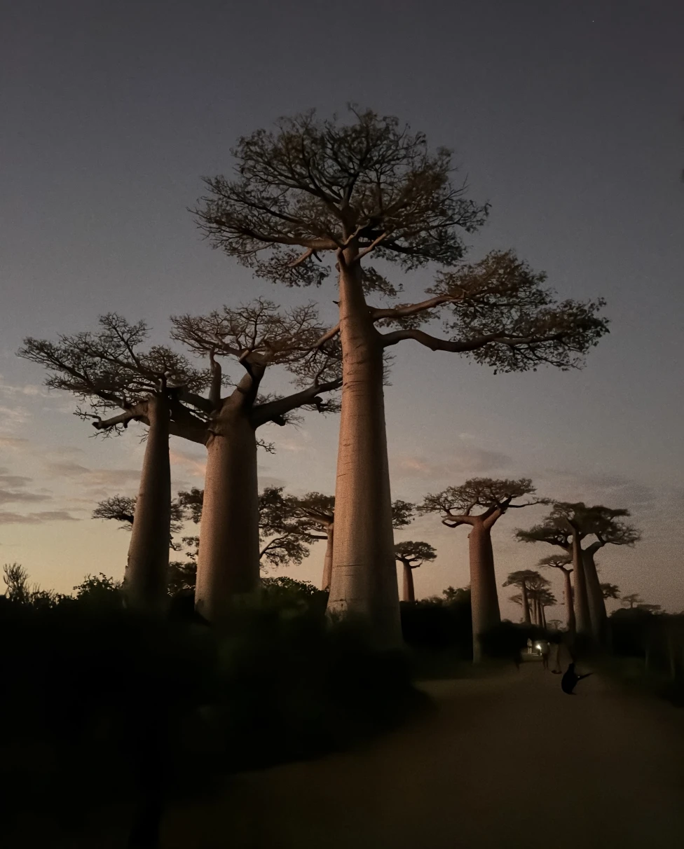 Advisor - Madagascar Is Not for the Faint of Heart (But Go Anyway)
