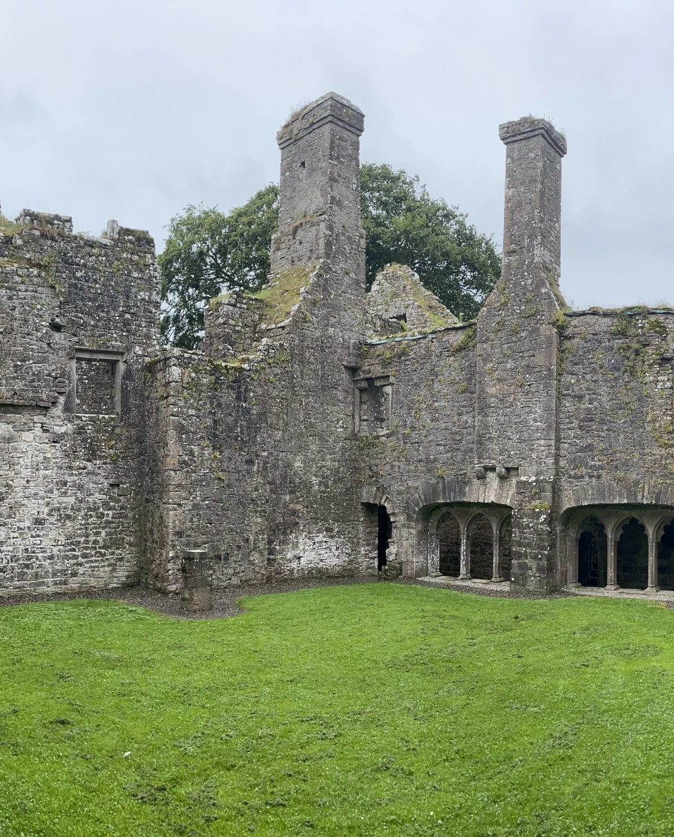 Advisor - Ireland: Where the Grass is Greener