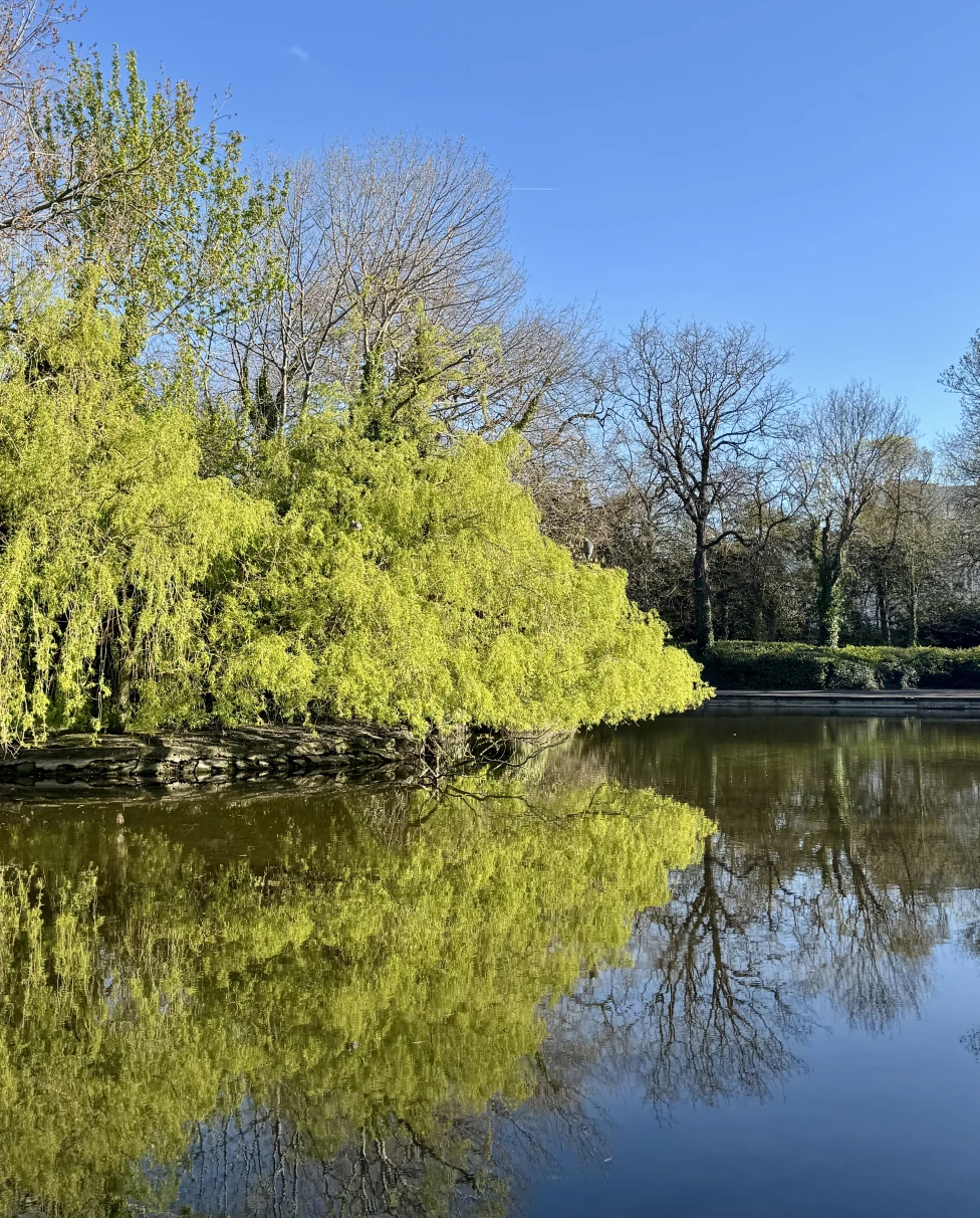 Advisor - A Breath of Fresh Éire: A Spring Weekend in Dublin