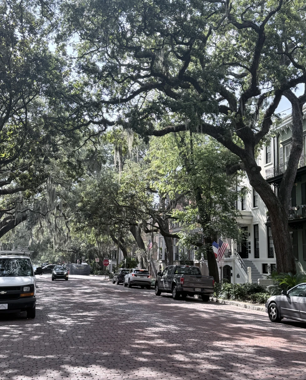 Advisor - Discover Savannah's Southern Charm in 4 Days