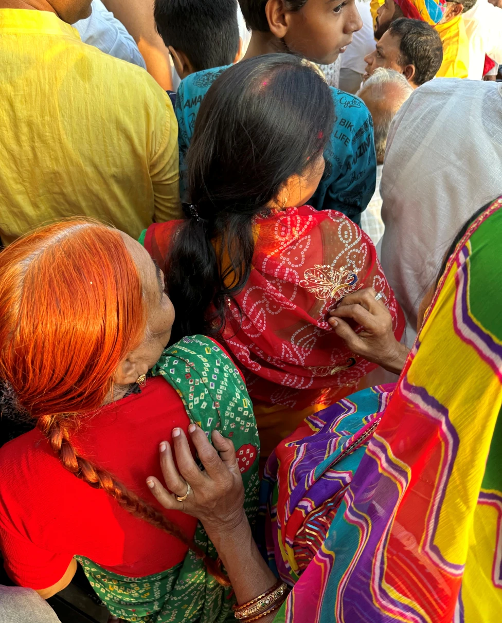 Advisor - Discover the Beauty of Rajasthan, India