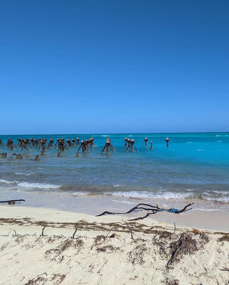 Advisor - 6 Days in Key West, Florida is Never Long Enough