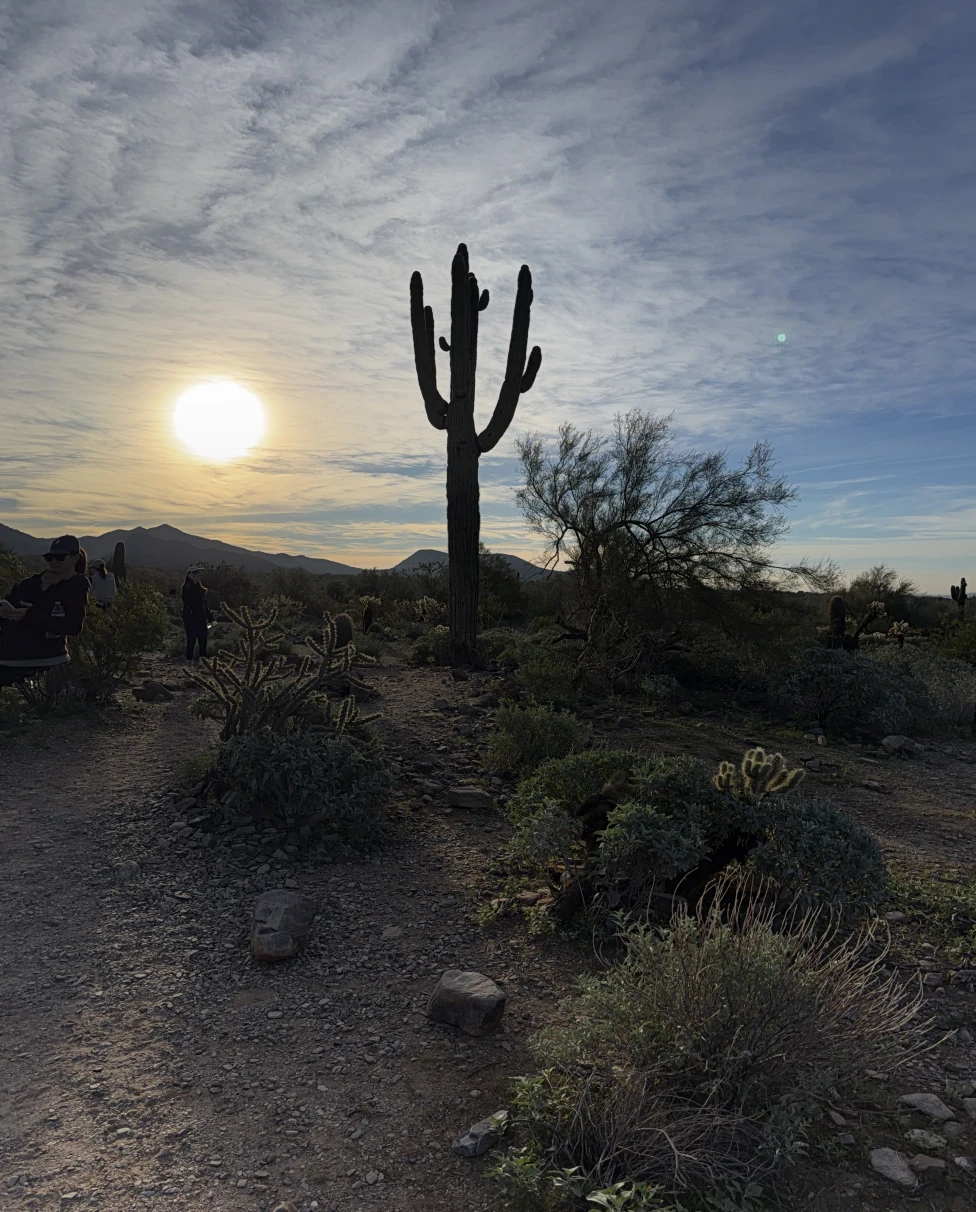 Advisor - The Scottsdale Wellness Edit: Spa Days, Sound Meditation & the Art of Actually Slowing Down