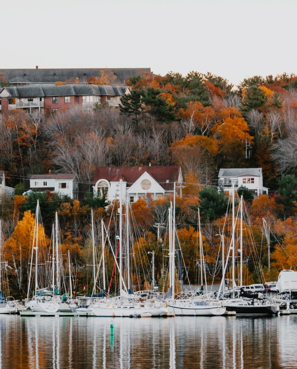 Advisor - Fog-Kissed Docks & Maple-Glazed Morning Walks: A Sensory Maine Escape
