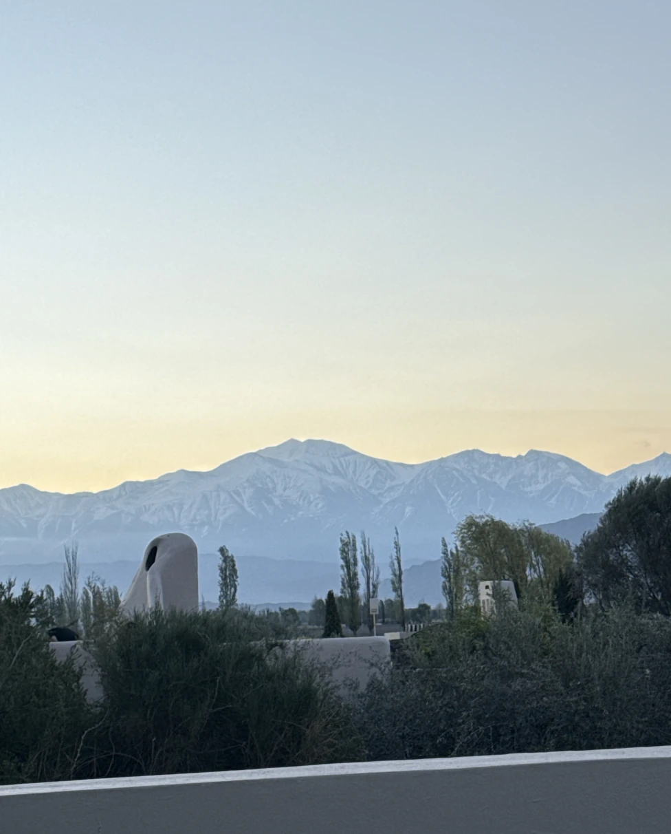 Advisor - South America Honeymoon Itinerary: Argentina & Chile in 16 Days