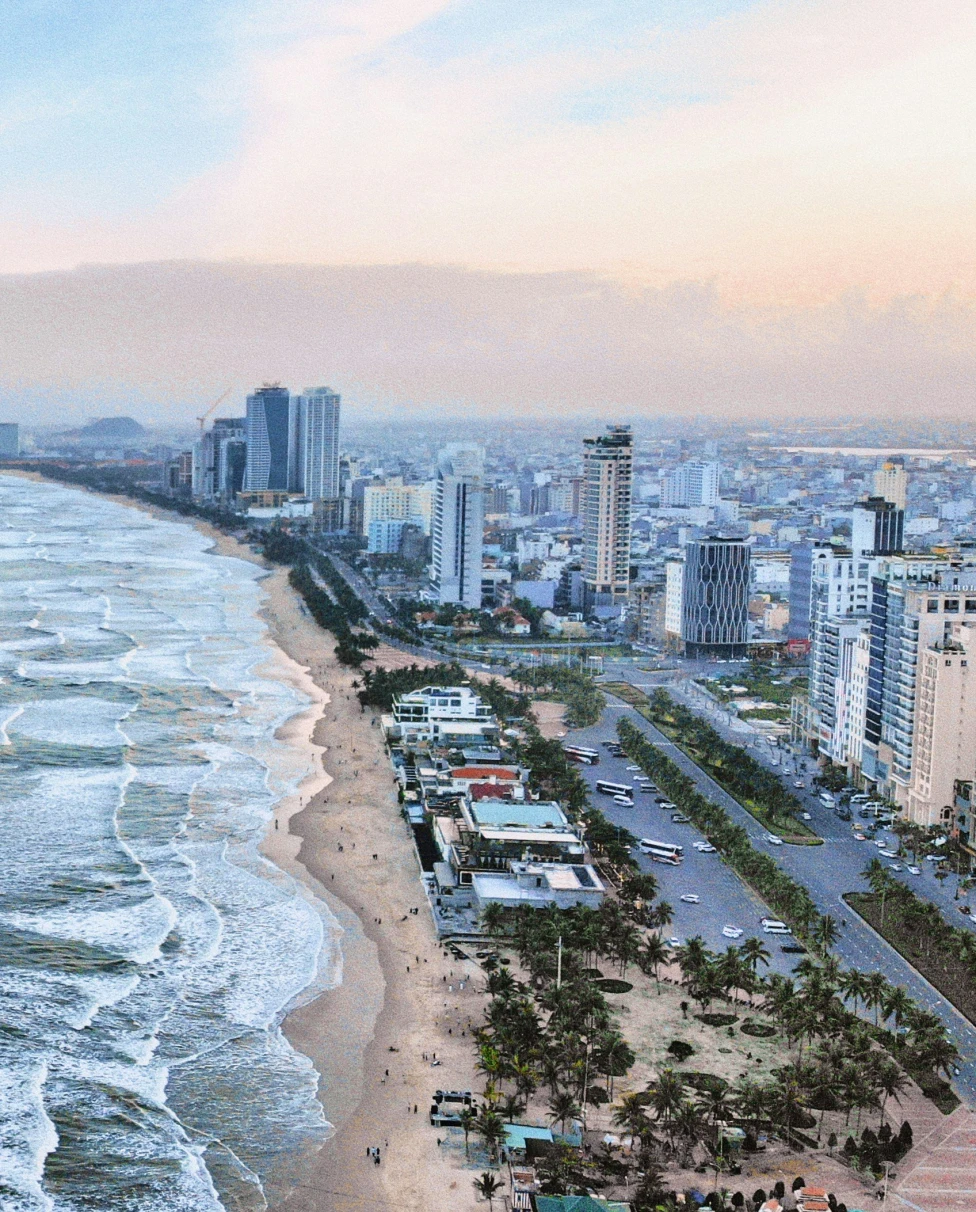 Advisor - The Da Nang Cultural Experience