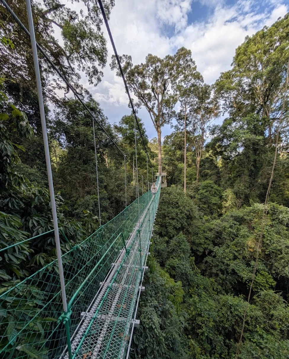 Advisor - Malaysian Borneo: 11 Days of Wildlife, Rainforest & Beach in Sabah