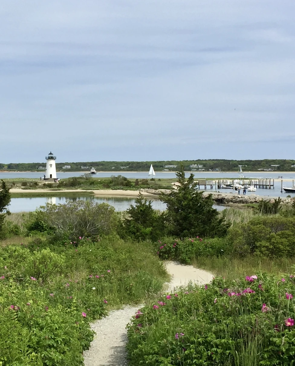 Advisor - Martha's Vineyard, Massachusetts: An Insider's Guide to a Perfect Summer Weekend