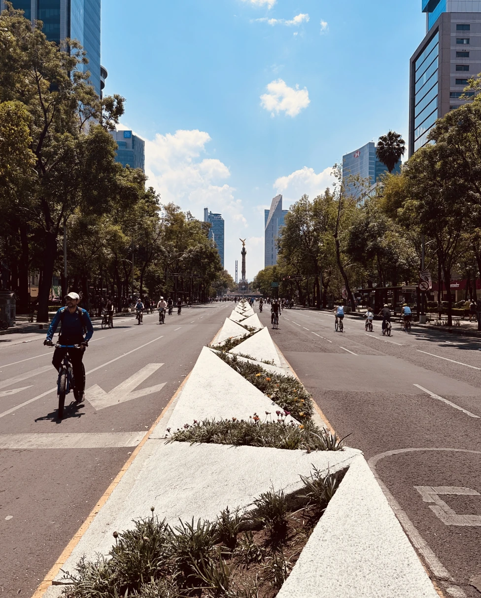 Advisor - How to Spend the Best Week in Mexico City