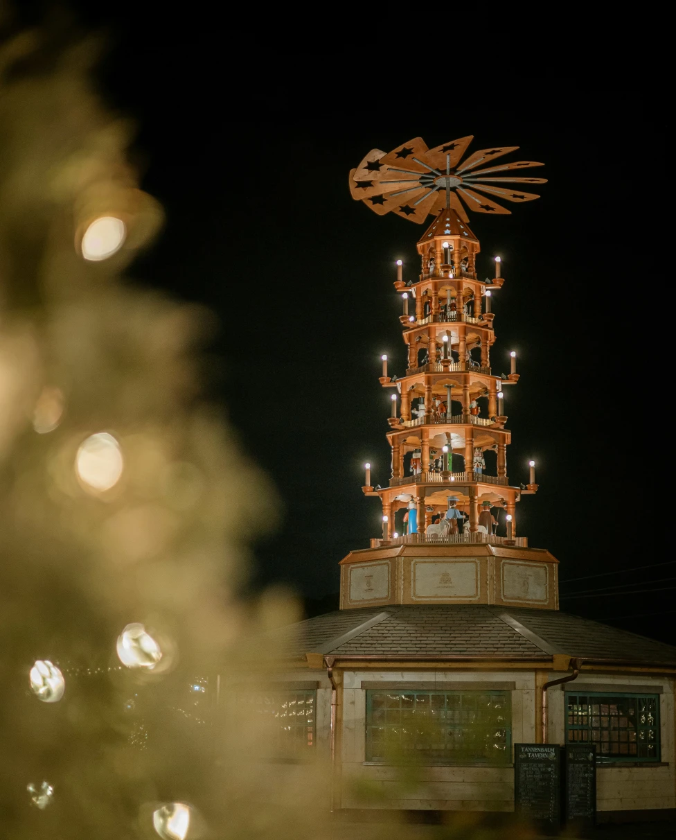 Advisor - From Paris to Bavaria: A Magical Christmas Journey by Rail