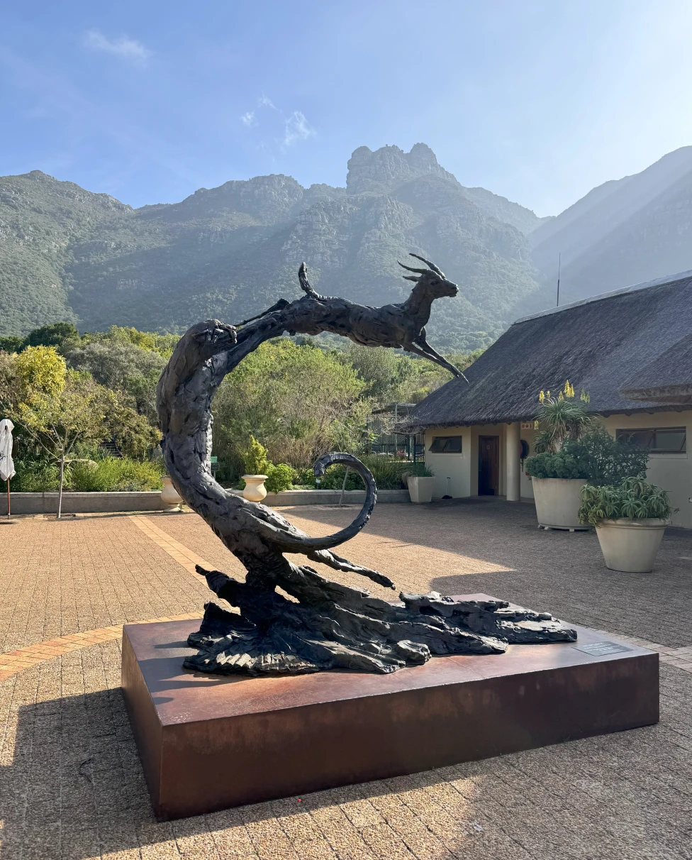 Advisor - Cape Town in 6 Days