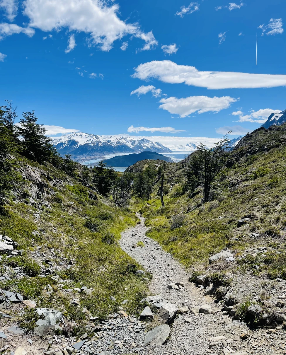 Advisor - A Transformative Five-Day W Trek Through Patagonia: Torres del Paine National Park