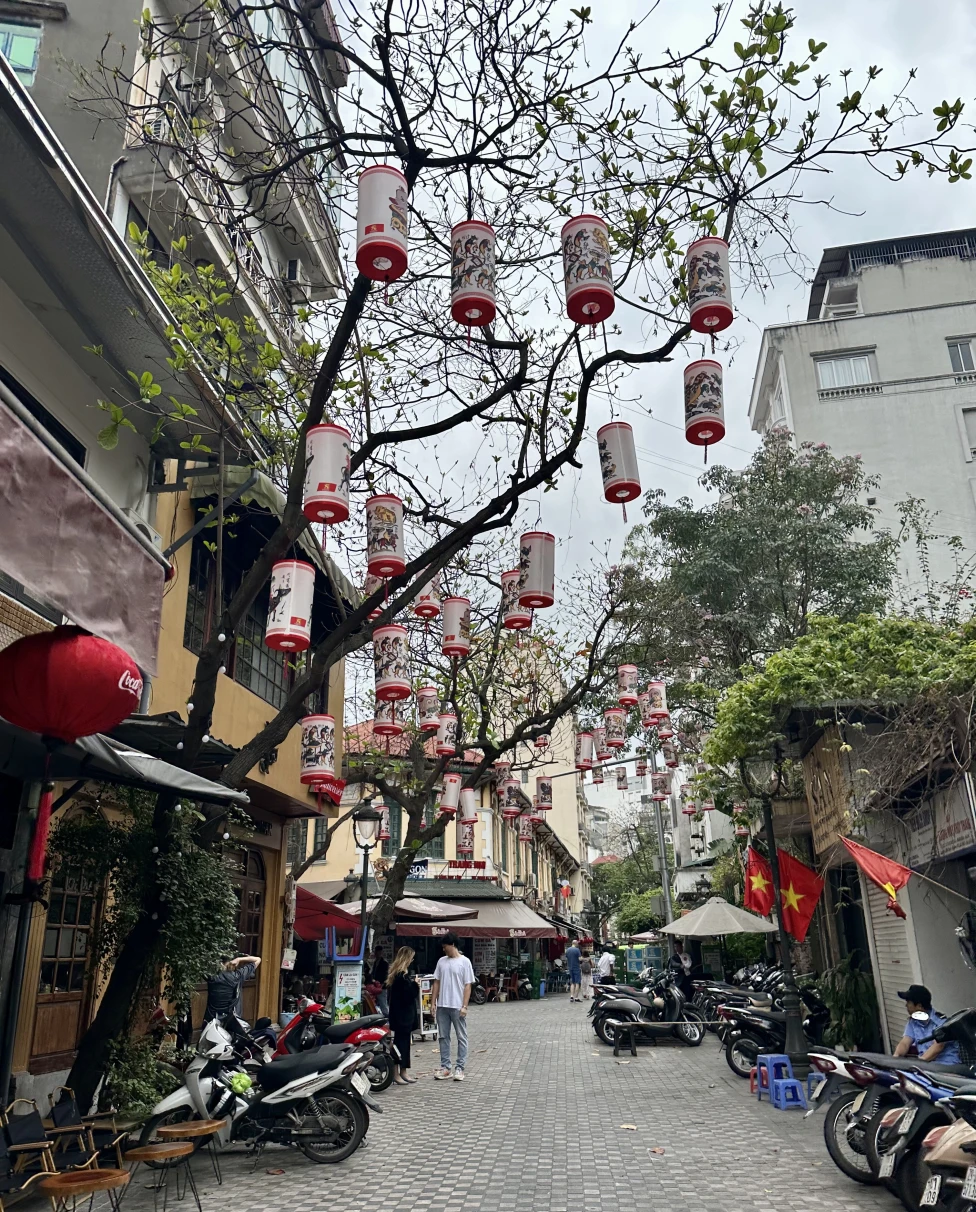 Advisor - 10 Days in Vietnam: North to South