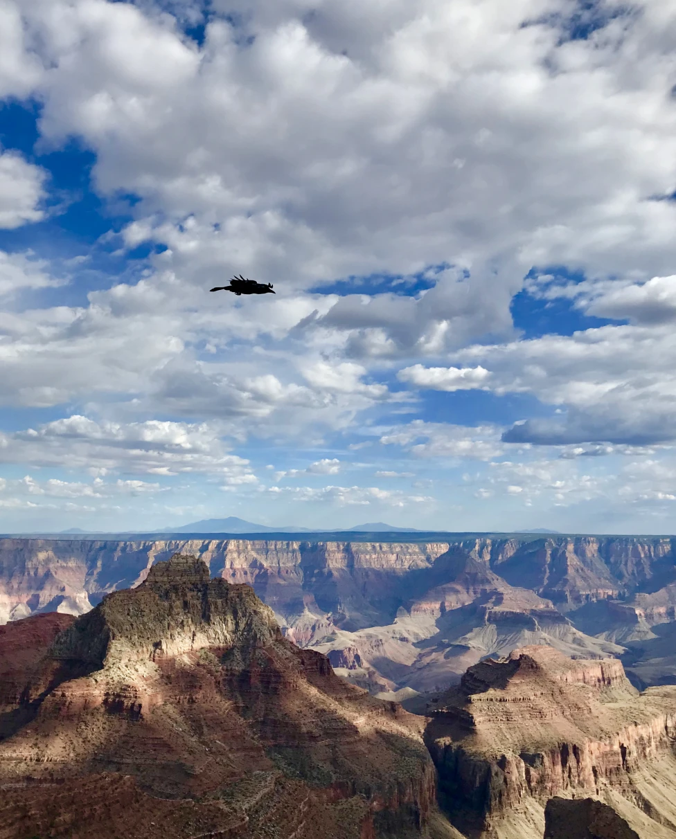 Advisor - Arizona & Utah Road Trip: Chasing Sunsets & Slot Canyons