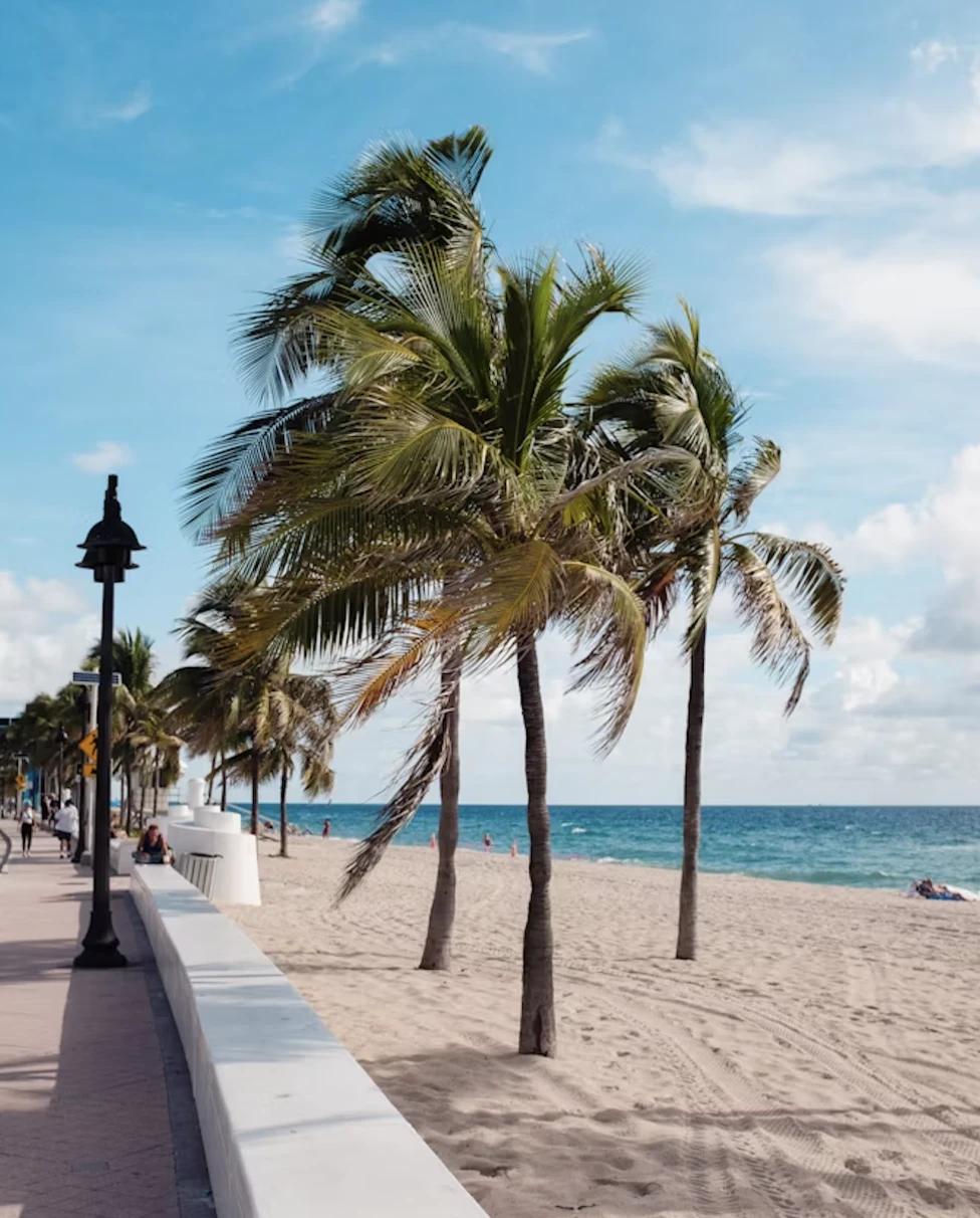 Advisor - A Fort Lauderdale Bachelorette Weekend to Remember