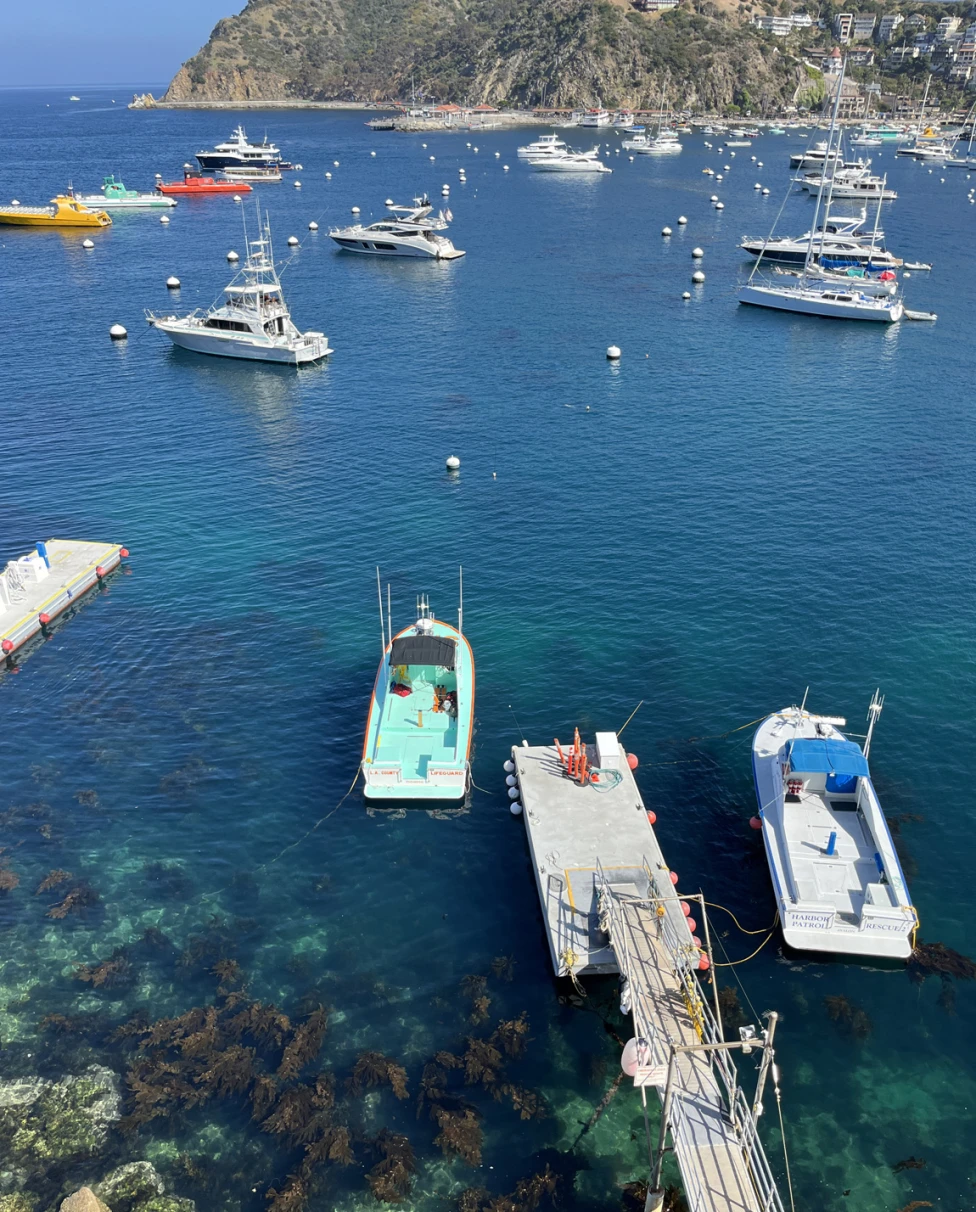 Advisor - A Catalina Island Getaway
