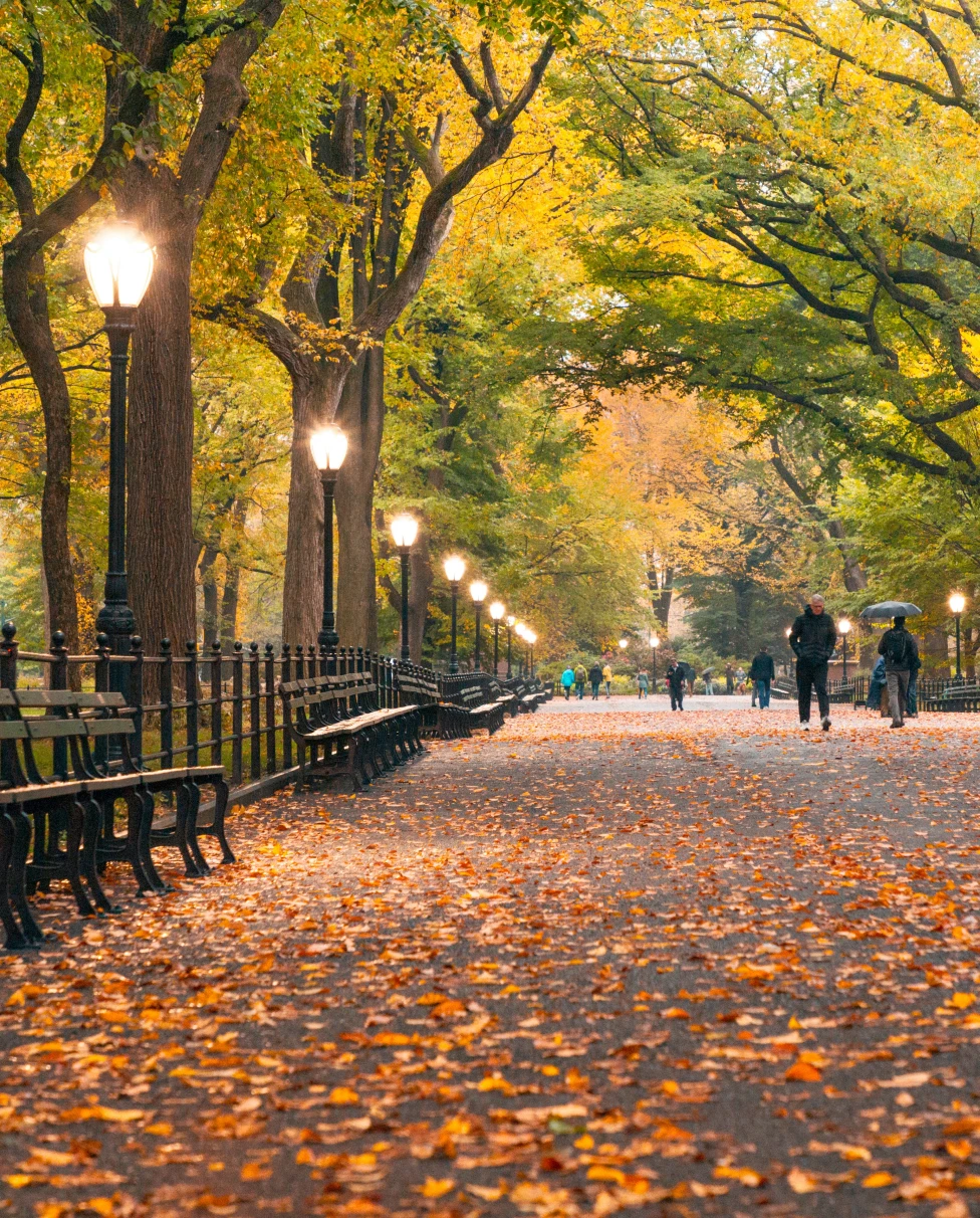 Advisor - Boston to DC: America’s Birthplace