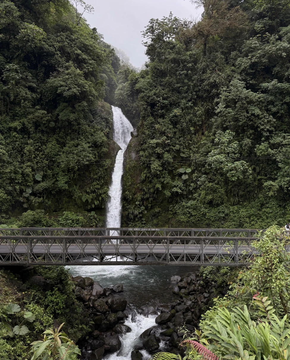 Advisor - 7-Day Costa Rica Itinerary: Adventure, Wildlife & Pura Vida