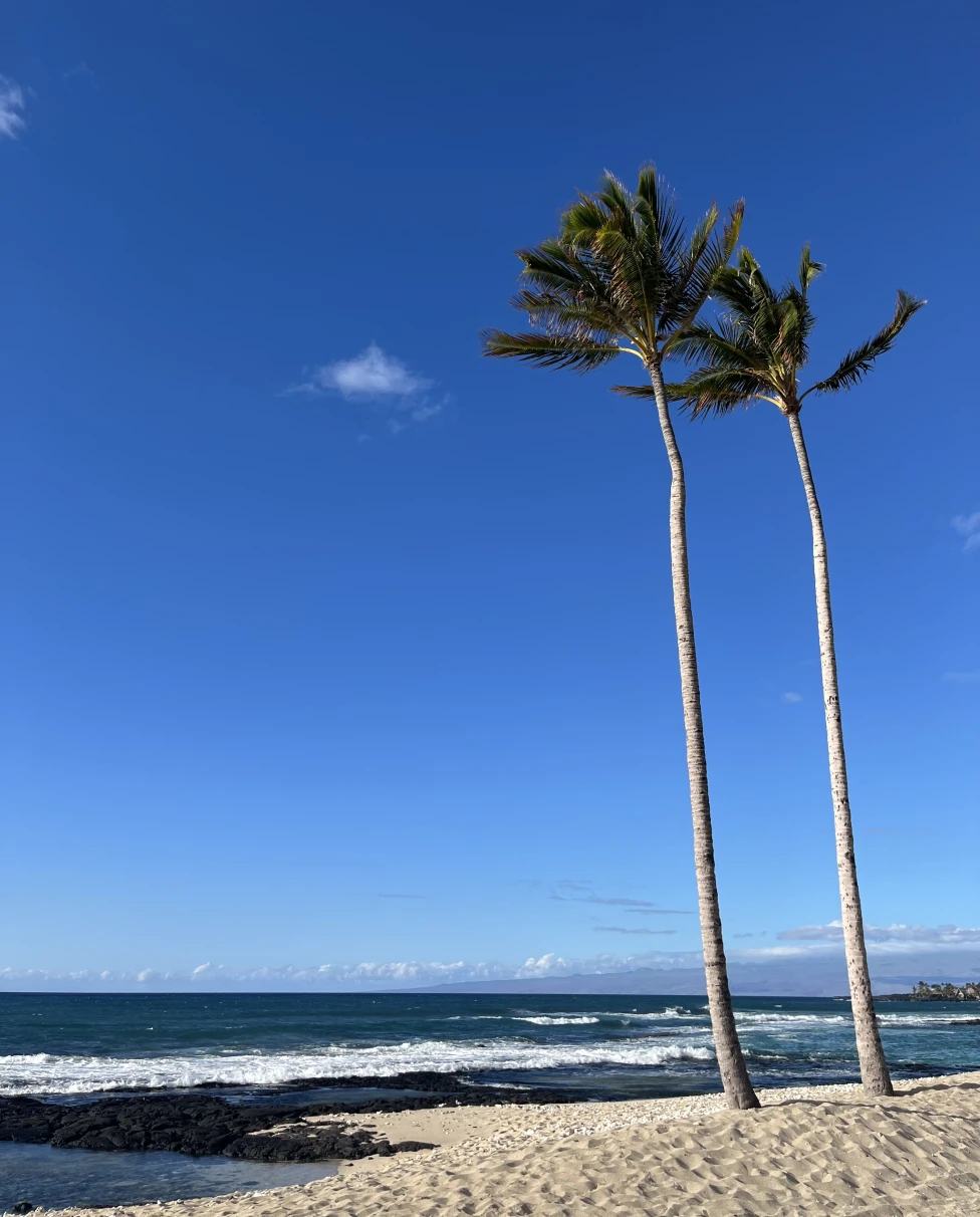 Advisor - Hawai'i: Your Seven-Day Adventure on the Big Island