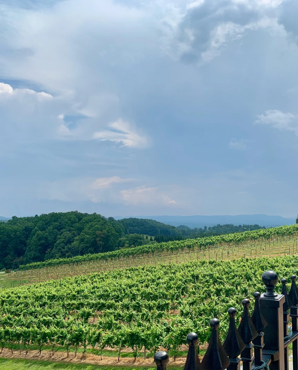 Advisor - A Wine Weekend in Northern Virginia
