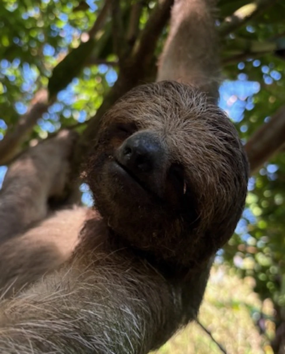 Advisor - 7 Unforgettable Days in Costa Rica: A Perfect Family Adventure