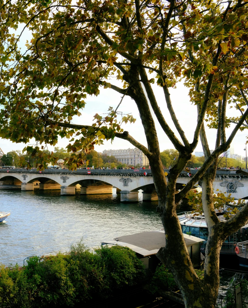 Advisor - The Ultimate 5-Day Paris Itinerary for First-Timers