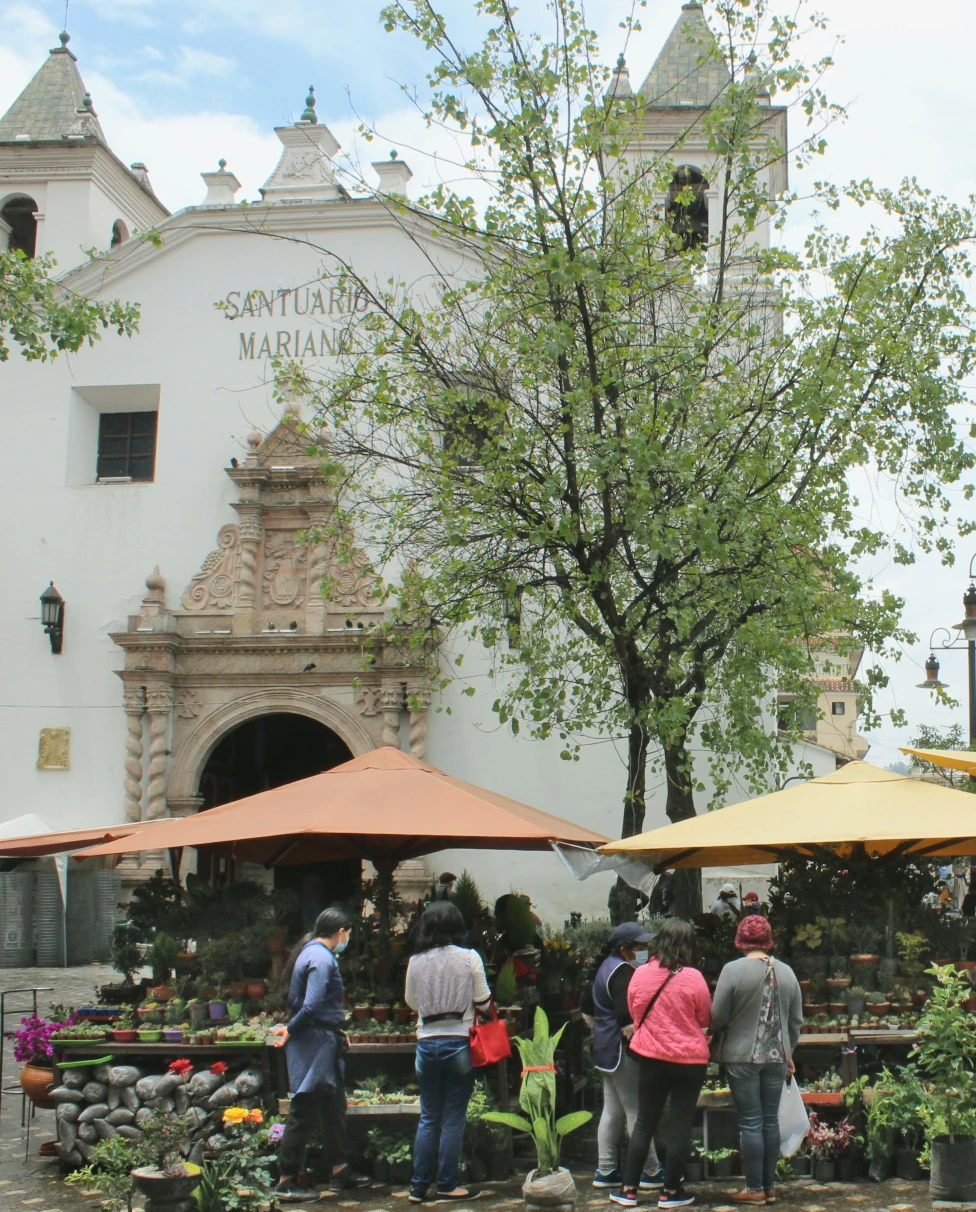 Advisor - Ecuador’s Andean Highlands: 5 Days