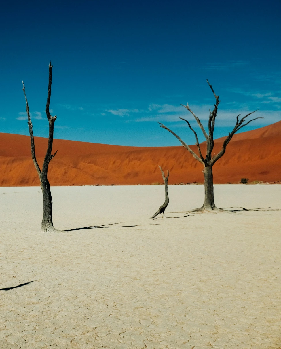 Advisor - Namibia: Where Dunes Meet the Atlantic