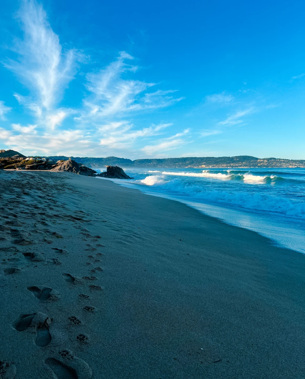 Advisor - A Perfect Long Weekend in Monterey with Kids