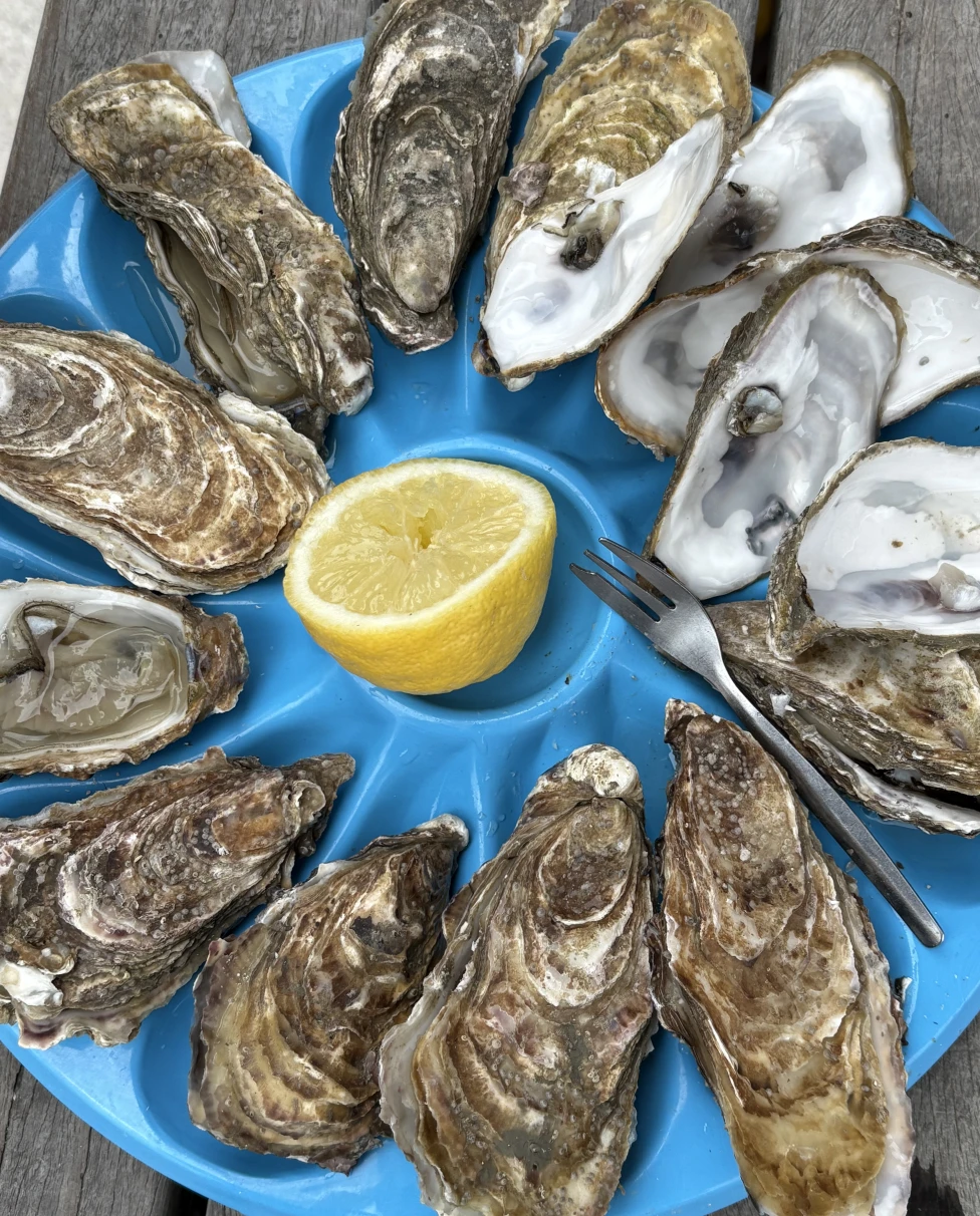 Advisor - Brittany & Beyond: Three Generations, One Story