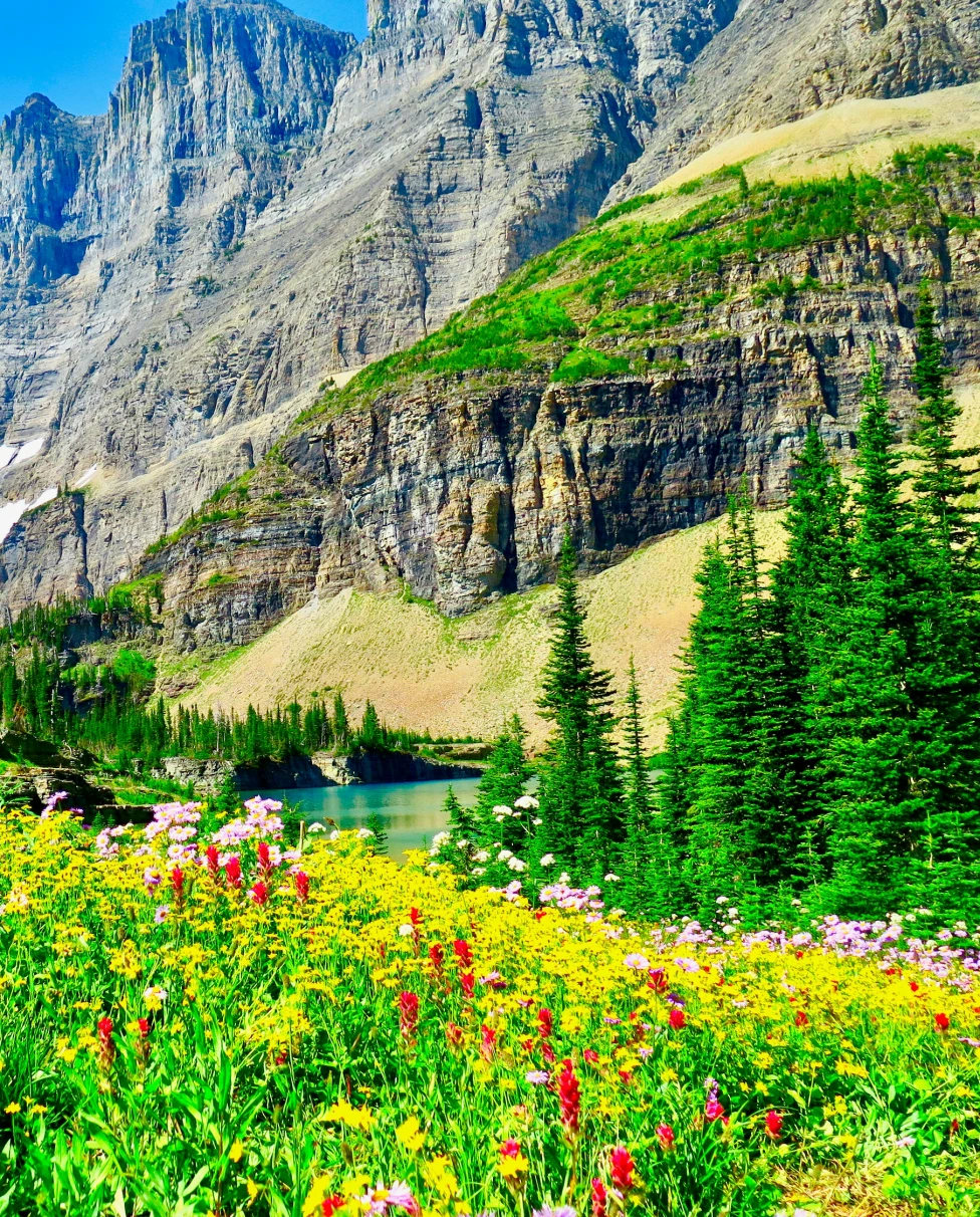 Advisor - Beauty & Adventure: Glacier National Park & Montana in 8 Days