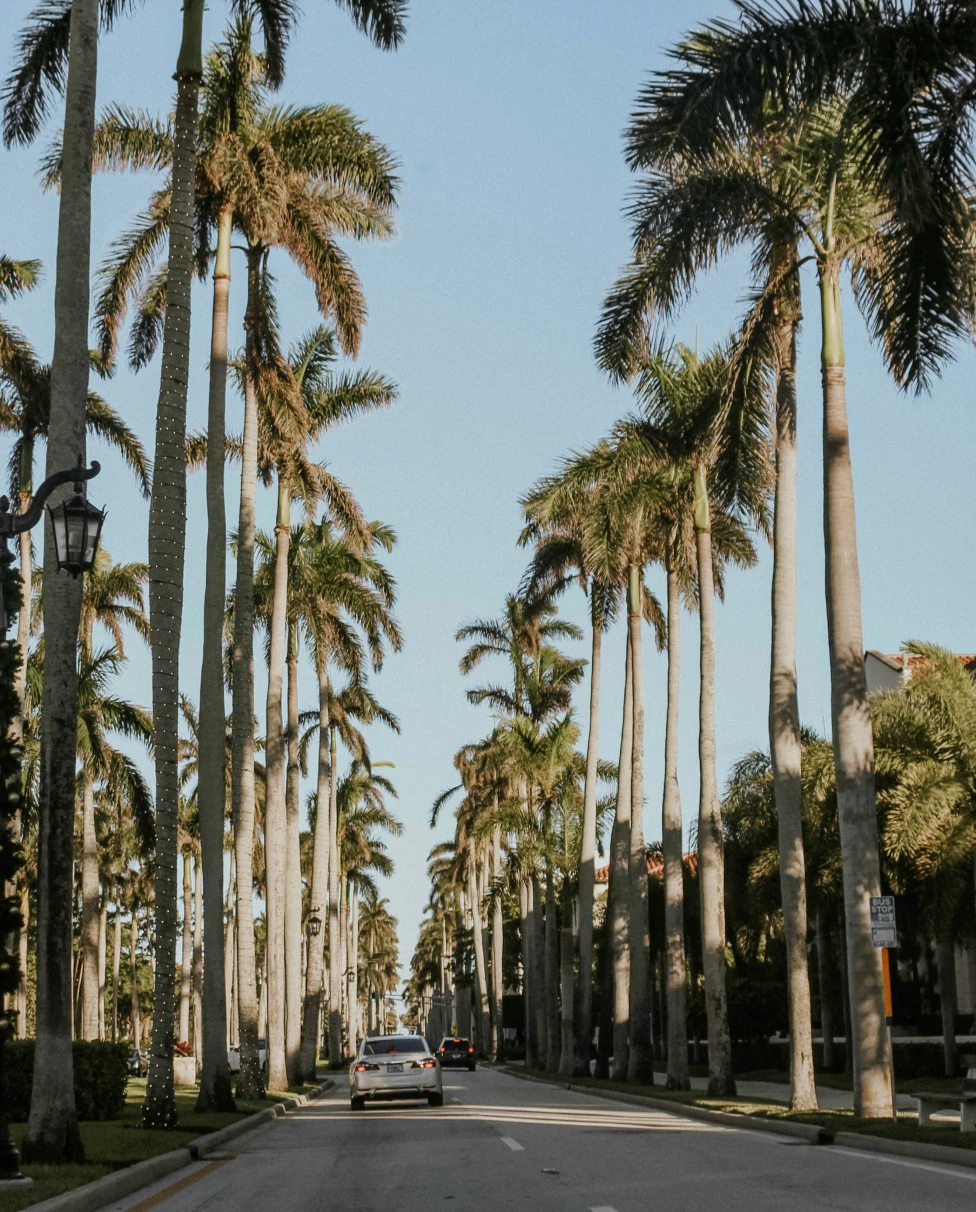 Advisor - A Long Weekend in Palm Beach for Couples