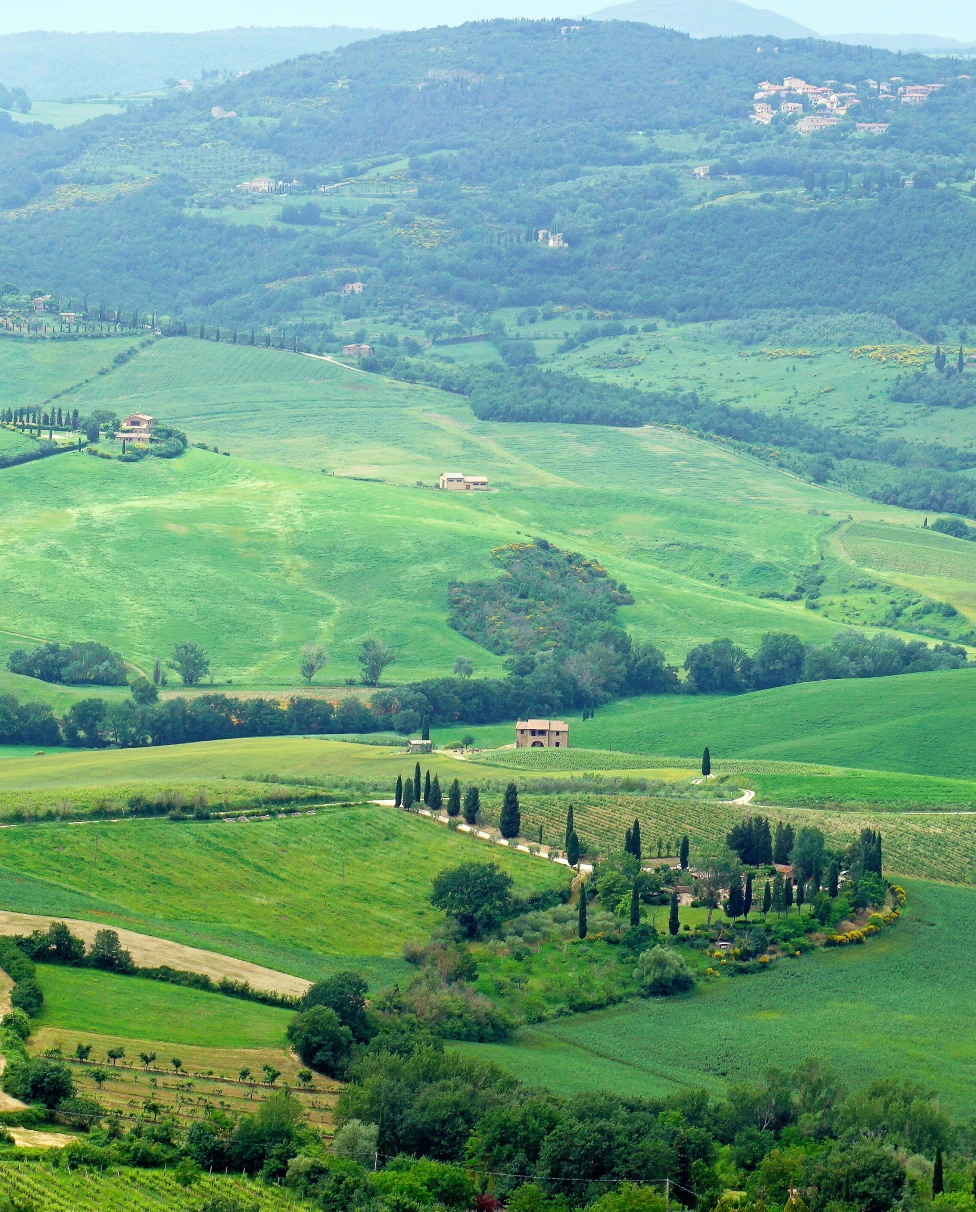 Advisor - 4 Days in Tuscany: Vineyards, Villages & Val d'Orcia