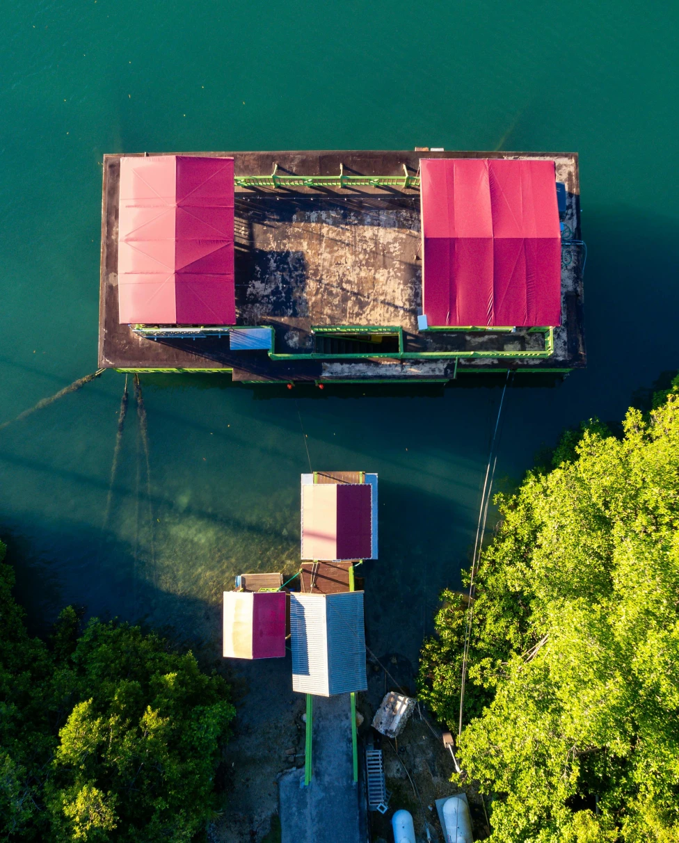 Advisor - Kingston, Jamaica: A 72-Hour Guide to the Reggae Capital