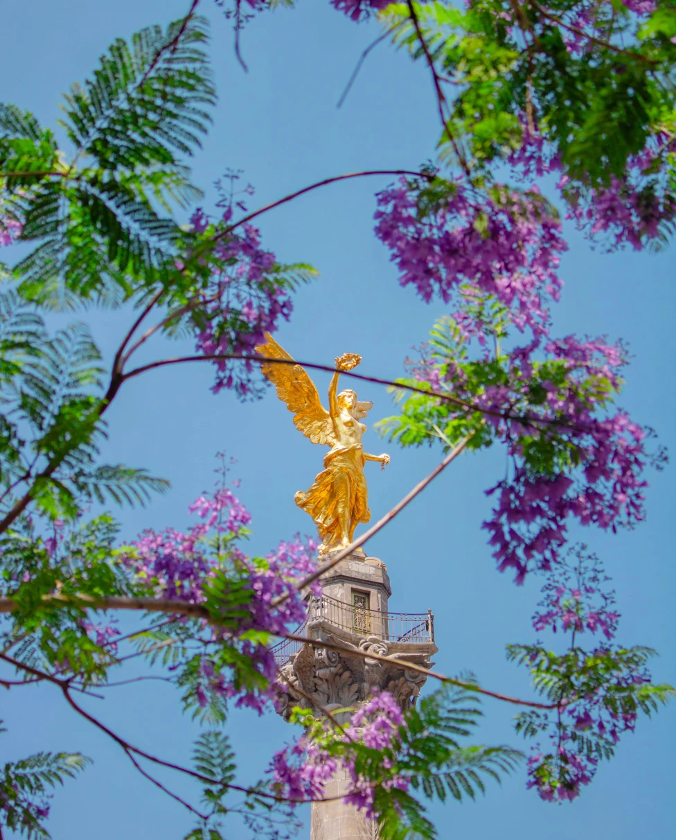 Advisor - How to Fall in Love with Mexico City in Under 72 Hours