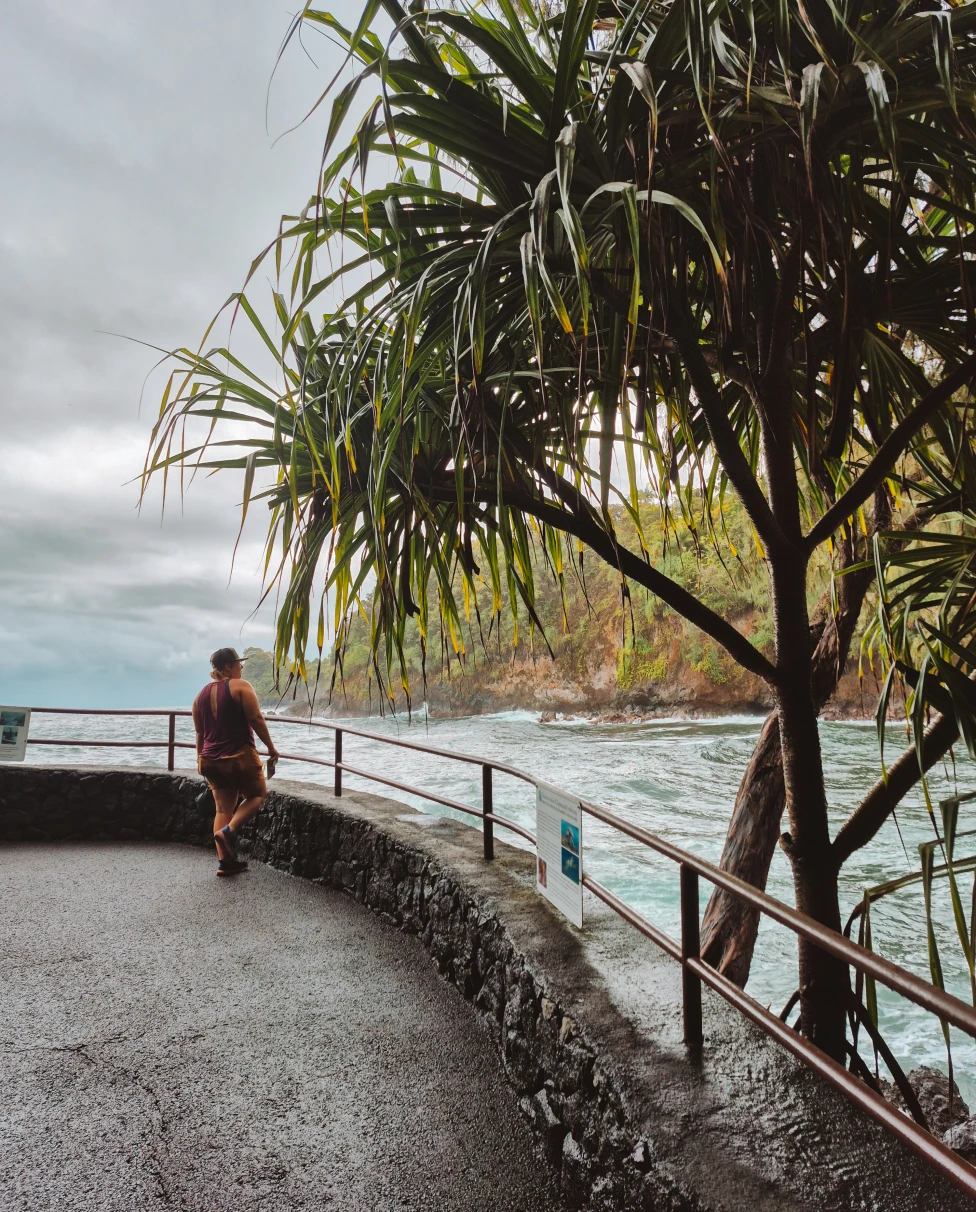 Advisor - Island-Hopping Hawaii: 10 Days on Maui & the Big Island