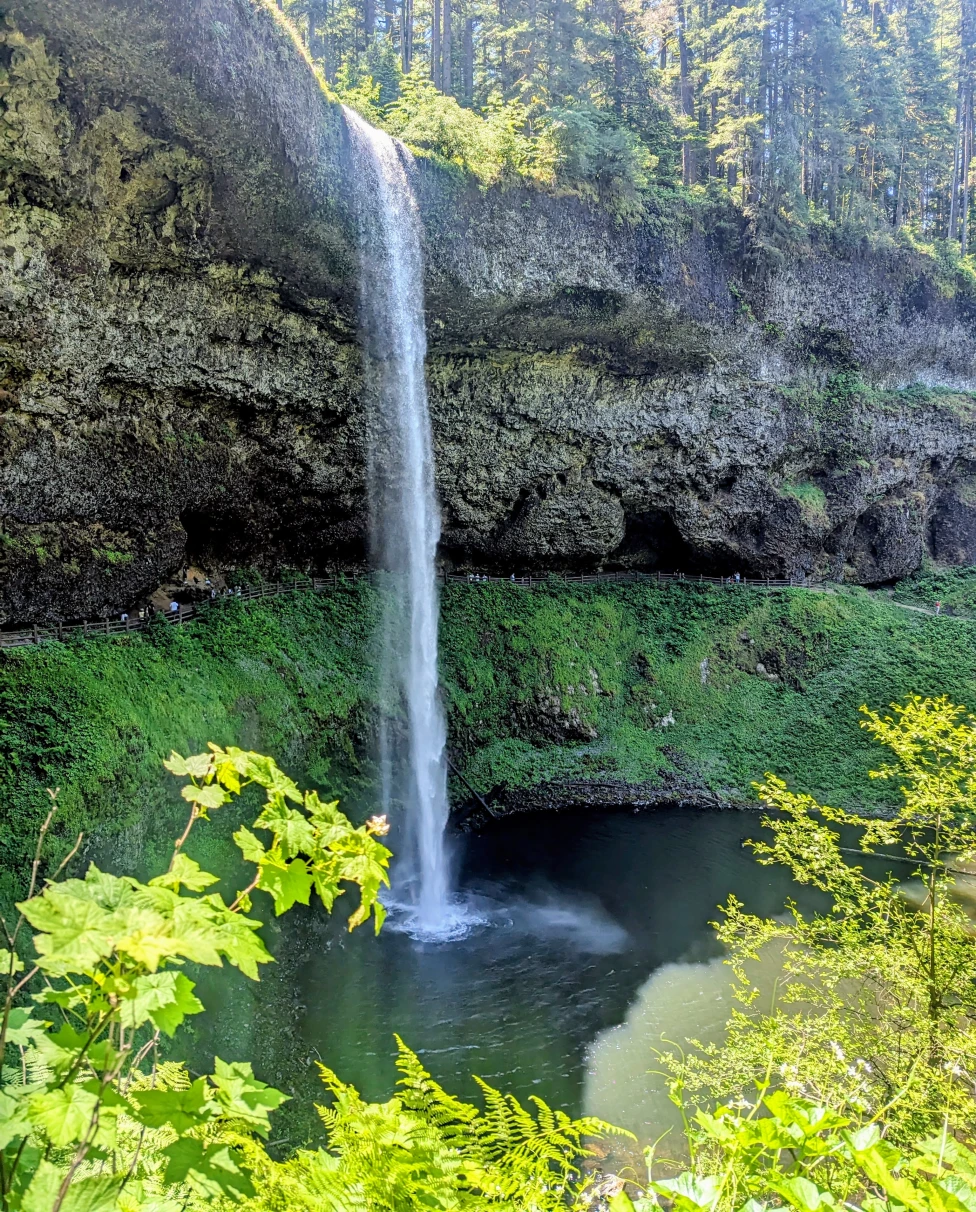 Advisor - Family Fun in Oregon