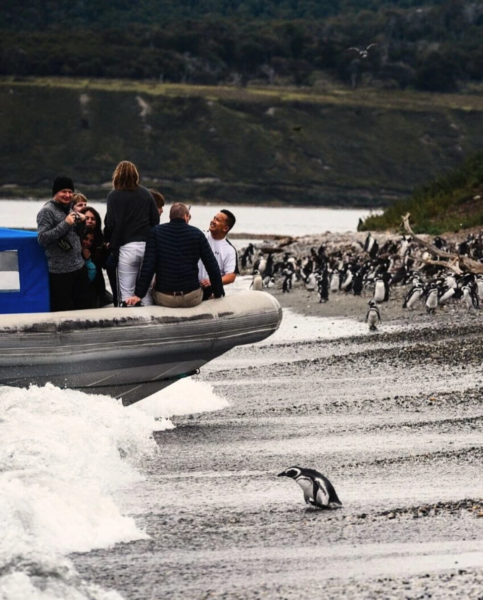 Advisor - Argentina Rewilded: Iberá Wetlands, Whale Coast & Penguin Colonies