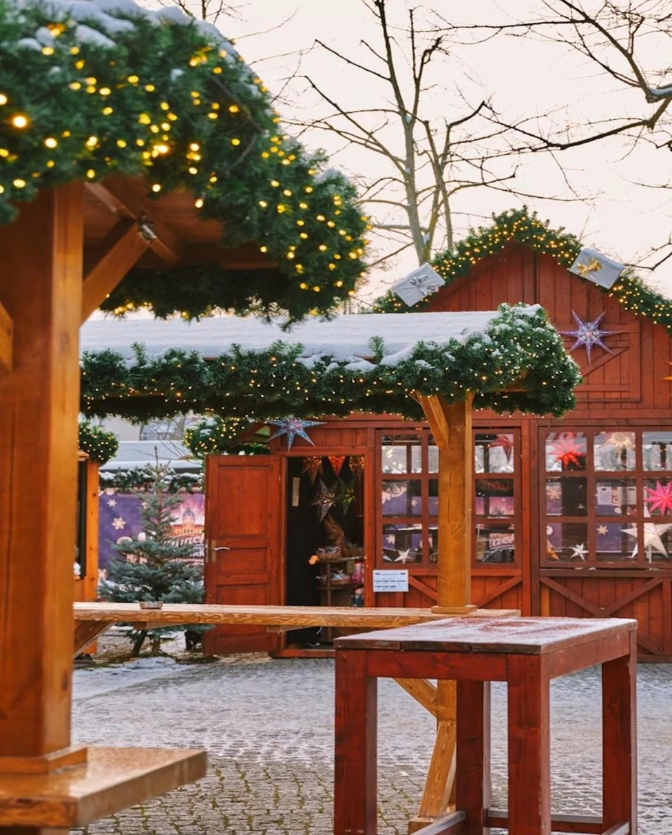 Advisor - Viking Christmas Market Journey: Zurich to Amsterdam in 11 Days