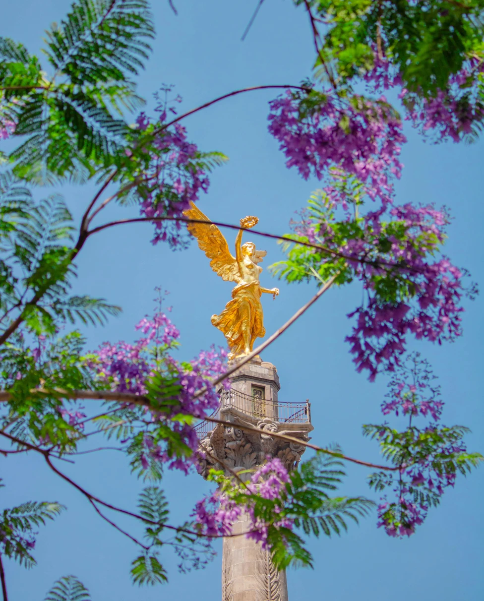 Advisor - An Art Week in Mexico City